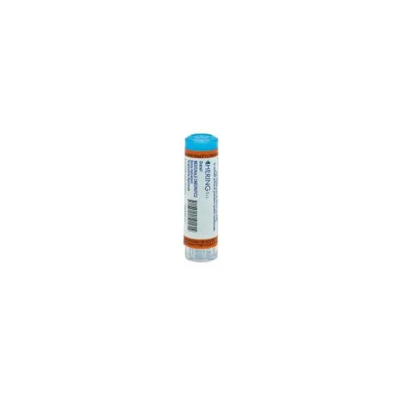 Actea racemosa - 5 ch granuli- 1 contenitore multidose in pp da 4 g (80 granuli) con tappo dispensatore in ps