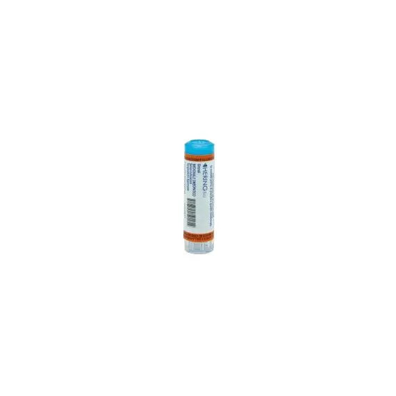 Pulsatilla - 012 lm granuli- 1 contenitore multidose in pp da 4 g (80 granuli) con tappo dispensatore in ps