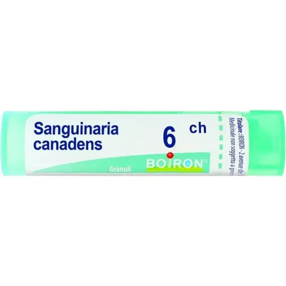 Sanguinaria canadensis - 6 ch granuli- 1 contenitore multidose in pp da 4 g (80 granuli) con tappo dispensatore in ps