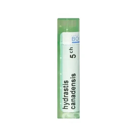Hydrastis canadensis - 5 ch granuli- 1 contenitore multidose in pp da 4 g (80 granuli) con tappo dispensatore in ps