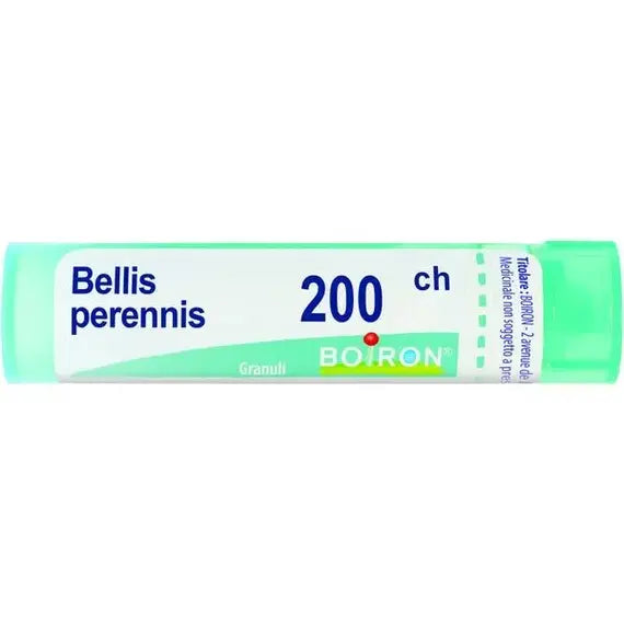 Bellis perennis - 200 ch granuli- 1 contenitore multidose in ps da 4 g (80 granuli) con tappo dispensatore in ps