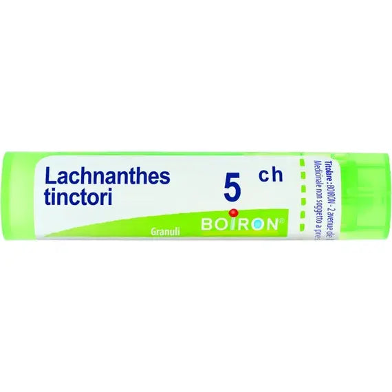 Lachnanthes tinctoria - 5 ch granuli- 1 contenitore multidose in pp da 4 g (80 granuli) con tappo dispensatore in pp