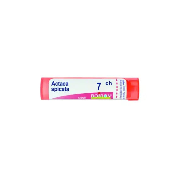Actaea spicata - 7 ch granuli- 1 contenitore multidose in pp da 4 g (80 granuli) con tappo dispensatore in pp