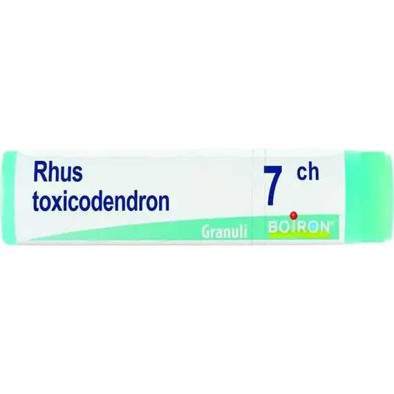 Rhus toxicodendron - 7 ch granuli- 1 contenitore monodose in pp da 1 g