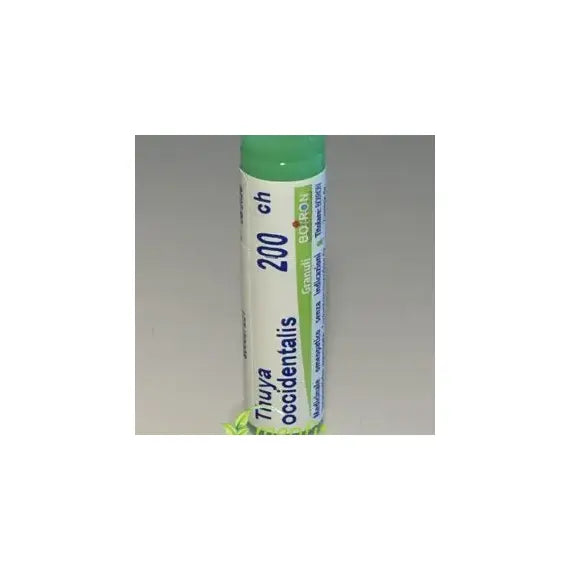 Sabadilla officinarum - 200 ch granuli- 1 contenitore monodose in pp da 1 g