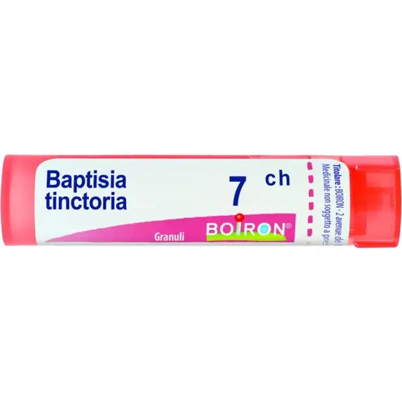 Baptisia tinctoria - 7 ch granuli- 1 contenitore multidose in pp da 4 g (80 granuli) con tappo dispensatore in pp