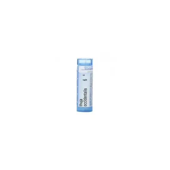 China succirubra dynamis - 6 lm gocce orali, soluzione- 1 flacone contagocce in vetro in soluzione idroalcolica al 50% v/v da 10 ml