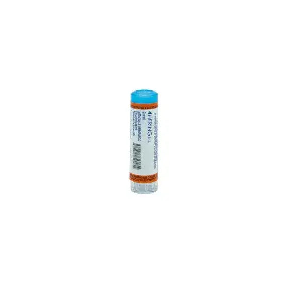 Aurum metallicum dynamis - 7 ch granuli- 1 contenitore multidose in vetro/pp da 6 g (140 granuli) con tappo dispensatore in pp