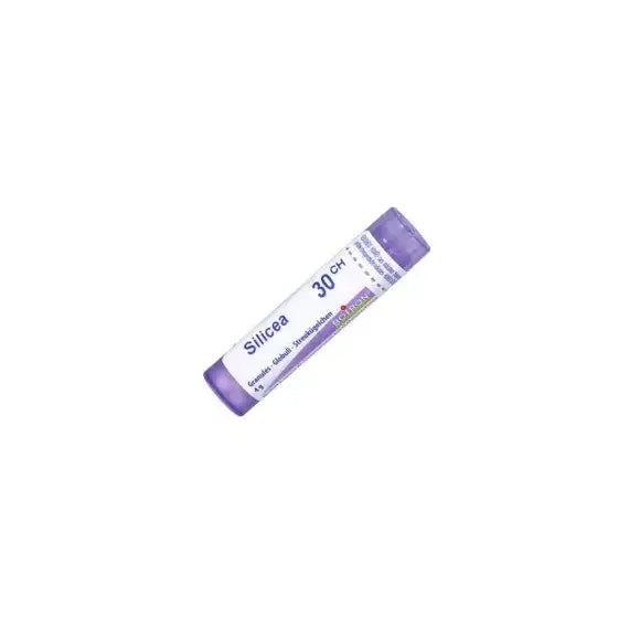 Histaminum - 15 ch granuli- 1 contenitore multidose in pp da 4 g (80 granuli) con tappo dispensatore in ps