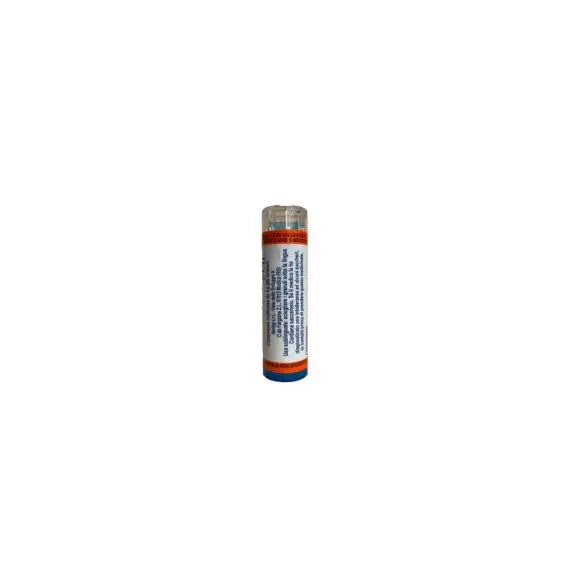 Aesculus hippocastanum - 200k granuli- 1 contenitore monodose in pp da 1 g