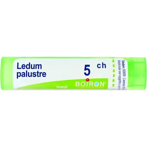 Ledum palustre - 5 ch granuli- 1 contenitore multidose in pp da 4 g (80 granuli) con tappo dispensatore in ps