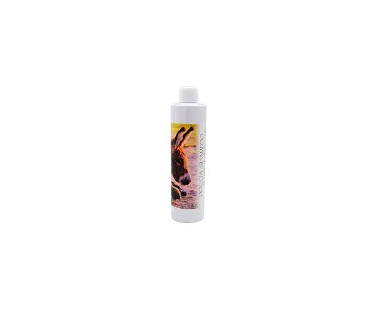 Bioloerbe Duschshampoo mit Eselsmilch 300 ml