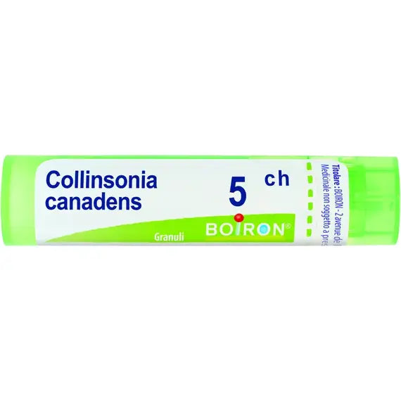 Collinsonia Canadensis*80 Granuli 5 Ch Contenitore Multidose | Acquista Online su Farmaclick