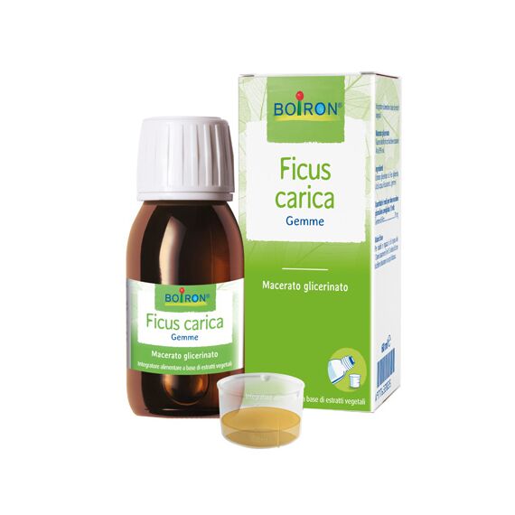 Ficus Carica Gemme Macerato Glicerinato 60 Ml Int | Acquista Online su Farmaclick
