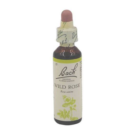 Fiori di Bach Wild Rose Gocce Orali 20 Ml | Acquista Online su Farmaclick