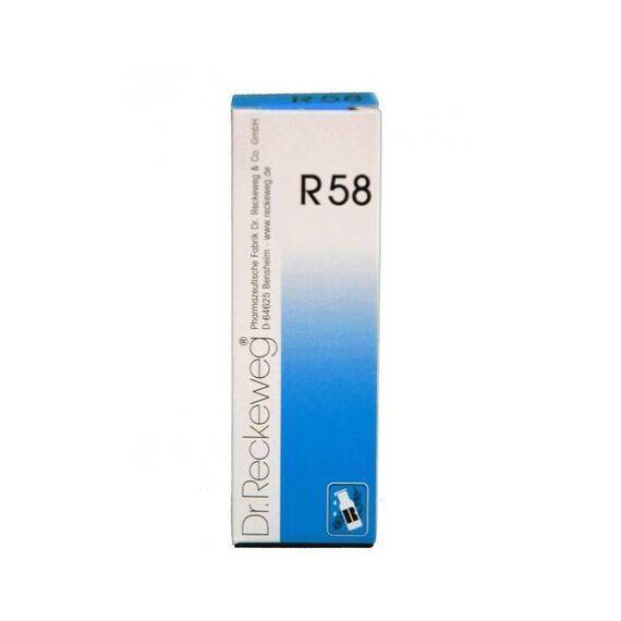 Dr Reckeweg R58 Gocce Omeopatiche per Insufficienza Miocardica 22 Ml | Acquista Online su Farmaclick