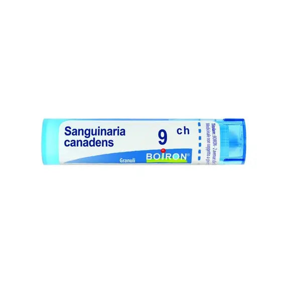 Sanguinaria Canadensis 9 Ch 80 Gr | Acquista Online su Farmaclick