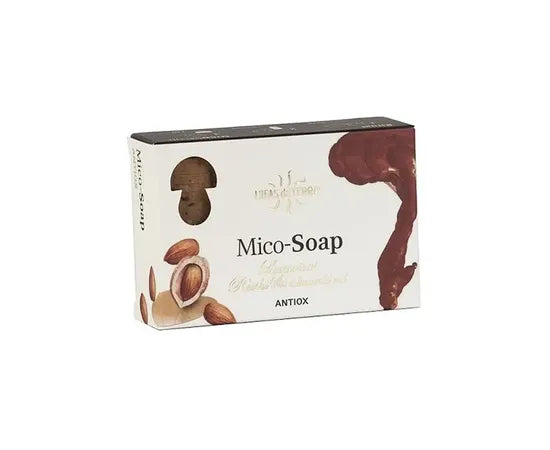Reishi-AntiOx-Seife 150 Gramm