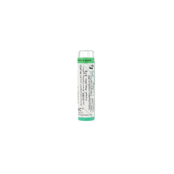 Armonic 26 Tesla Rock Rose 70 Gr | Acquista Online su Farmaclick