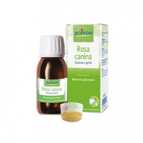 Boiron Rosa Canina Giovani Getti Macerato Glicerico 60 Ml Sciroppo | Acquista Online su Farmaclick