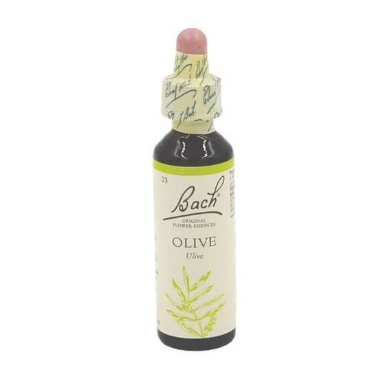 Fiori di Bach 23 Olive per Stanchezza Estrema Dopo uno Sforzo Fisico o Mentale Gocce Orali 20 Ml | Acquista Online su Farmaclick