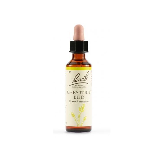 Fiori di Bach Chestnut Bud per la Difficoltã di Imparare Dai Propri Errori Gocce Orali 20 Ml | Acquista Online su Farmaclick
