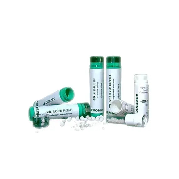 Tesla Armonic 37 Wild Rose 70 Gr | Acquista Online su Farmaclick