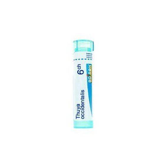 Thuya Occident 6ch Granuli | Acquista Online su Farmaclick
