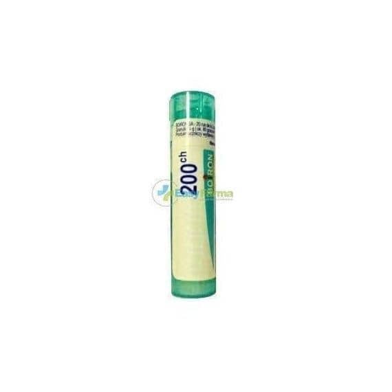 Boiron Spongia Tosta 200ch Globuli | Acquista Online su Farmaclick