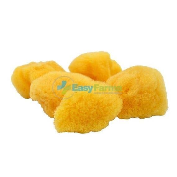 Spugna Mare Set 5 Pz F.d. | Acquista Online su Farmaclick