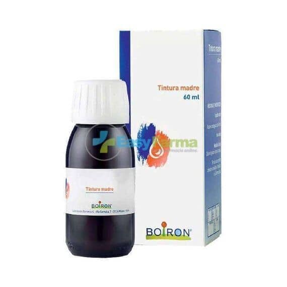 Pilosella Tintura Madre 60 Ml | Acquista Online su Farmaclick